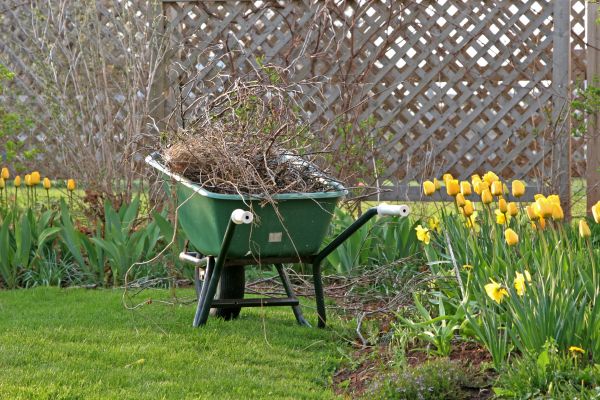 Flower Bed Cleanup Service in Lake Placid