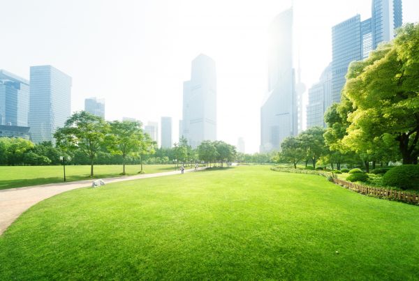 Commercial Landscape Maintenance in Lake Placid