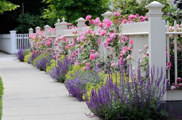 Garden Handyman Service in Lake Placid