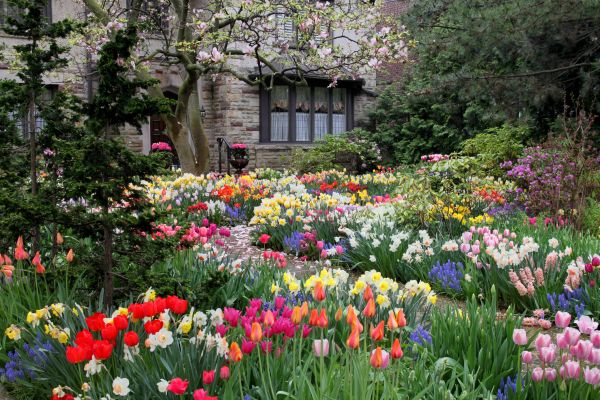 Garden Maintenance Service in Lake Placid