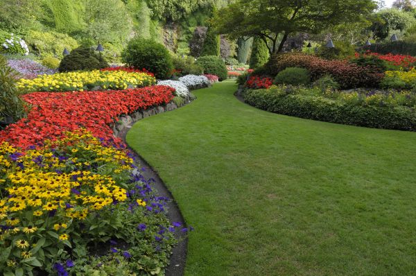 Landscaping Maintenance in Lake Placid