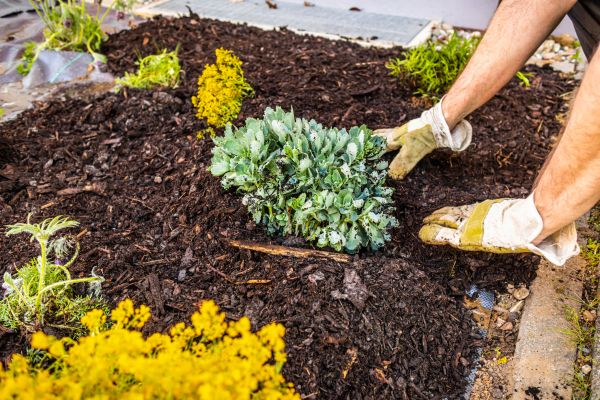 Weeding And Mulching in Lake Placid