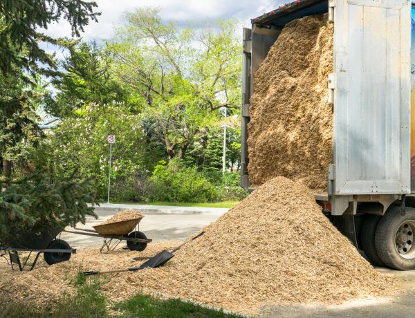 Wood Chips Delivery in Lake Placid