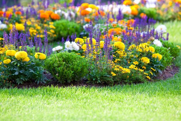 Garden Installation in Lake Placid
