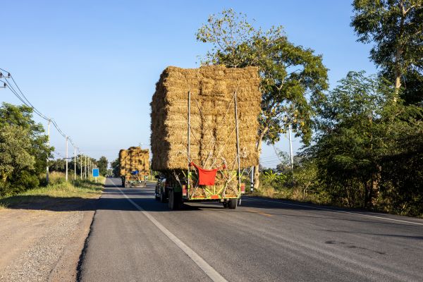 Pine Straw Delivery in Lake Placid