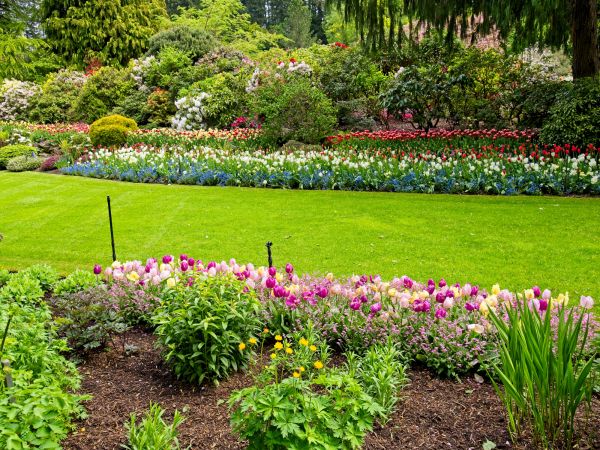 Residential Landscape Design in Lake Placid