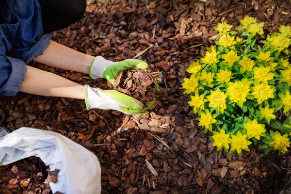 Pine Bark Mulch Installation in Lake Placid