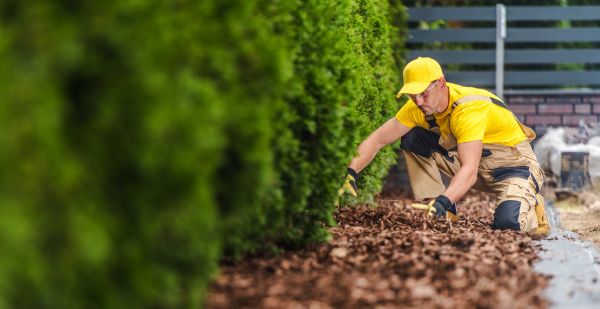 Cypress Mulch Installation in Lake Placid