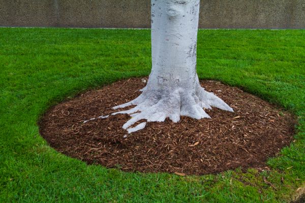 Brown Mulch Installation in Lake Placid