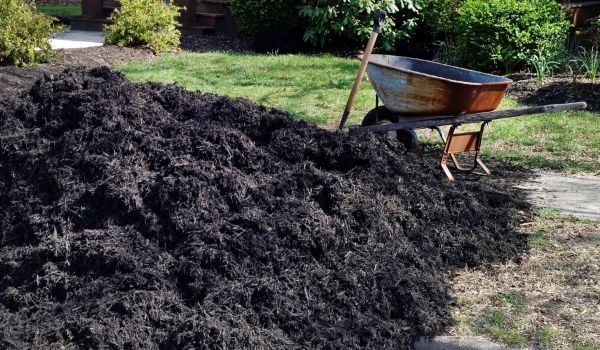 Black Mulch Installation in Lake Placid
