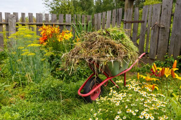 Garden Cleanup Service in Lake Placid