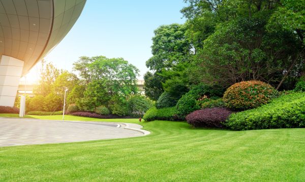 Business Landscape Design in Lake Placid