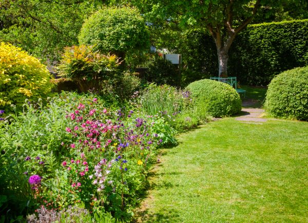 Yard Landscaping Service in Lake Placid