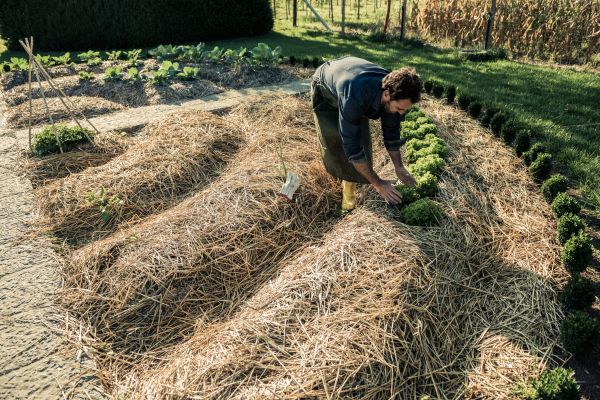 Straw Mulching Service in Lake Placid