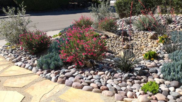 Xeriscape Landscaping in Lake Placid