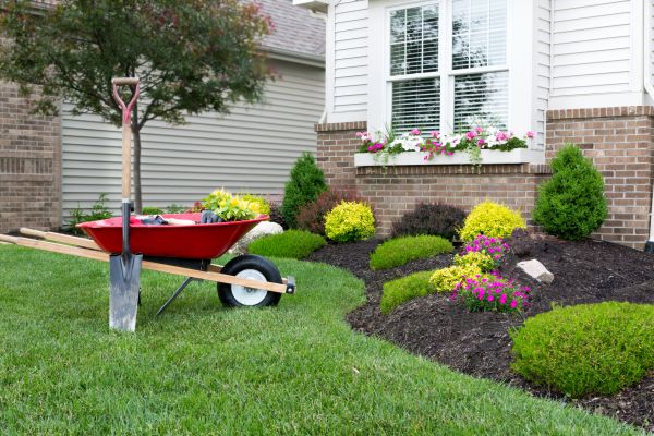 Tree And Shrub Planting in Lake Placid