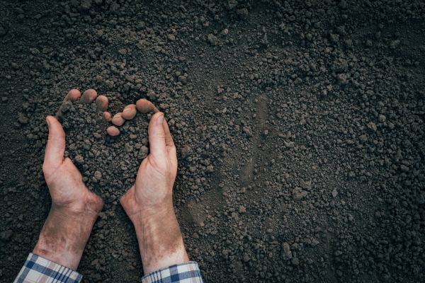 Soil Installation in Lake Placid