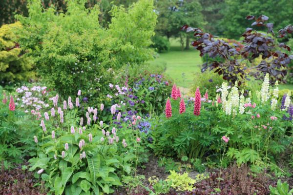 Flower Bed Planting in Lake Placid