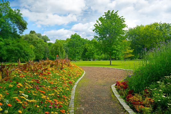 Park Landscaping in Lake Placid