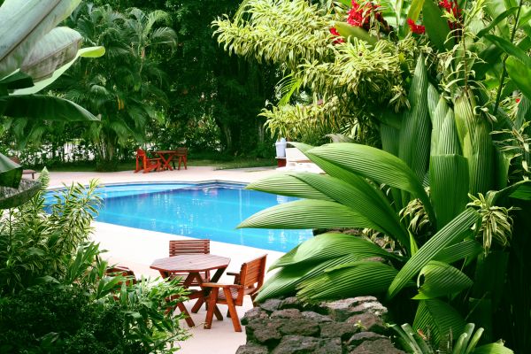 Tropical Garden Landscaping in Lake Placid