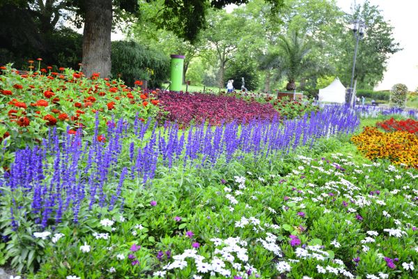 Perennials Planting in Lake Placid