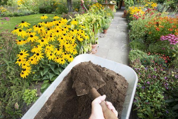 Topsoil Replacement in Lake Placid