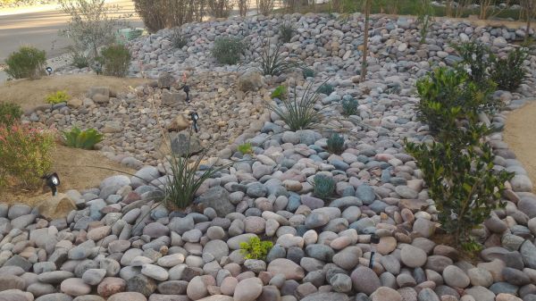 Yard Xeriscaping in Lake Placid