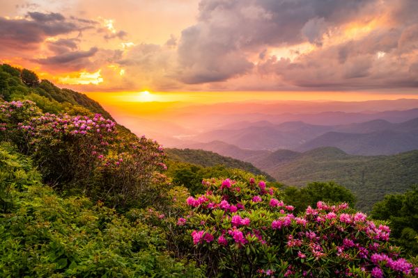 Hill Landscaping in Lake Placid