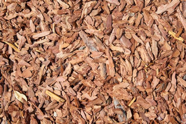 Pine Mulch Spreading in Lake Placid