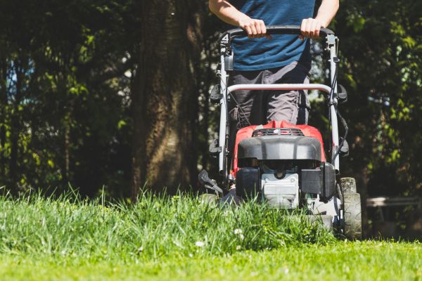Garden Trimming Service in Lake Placid