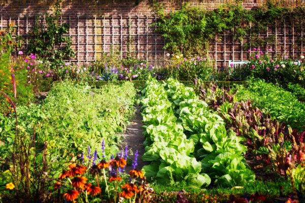 Garden Planting Service in Lake Placid