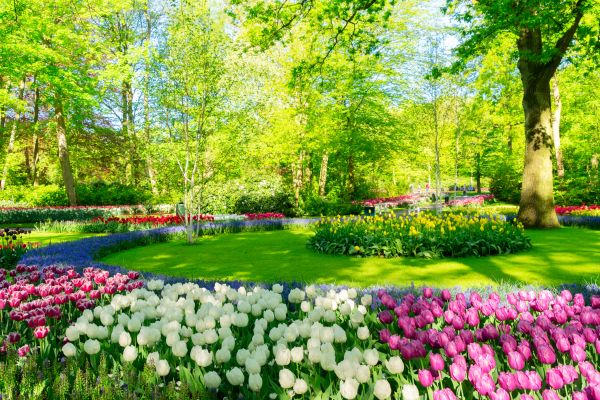 Flower Landscaping in Lake Placid