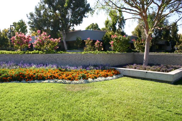 Commercial Landscape Service in Lake Placid