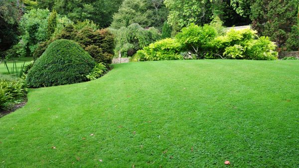 Commercial Landscape Design in Lake Placid
