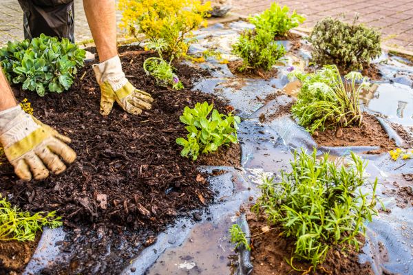 Mulch Fabric Installation in Lake Placid
