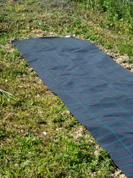 Weed Suppressant Installation in Lake Placid