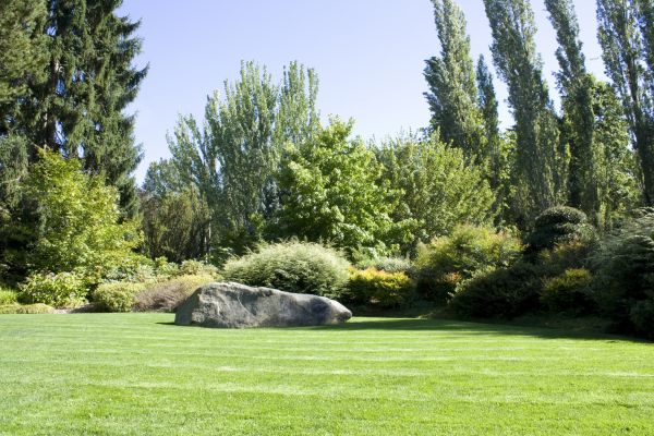 Yard Enlargement in Lake Placid