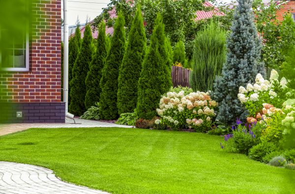 Spring Landscaping in Lake Placid
