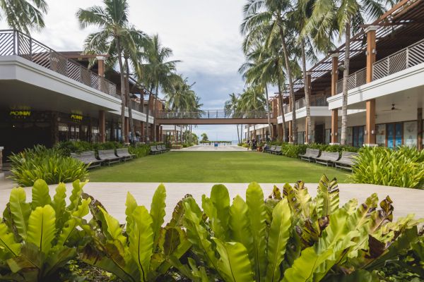 Commercial Lawn Renovation in Lake Placid