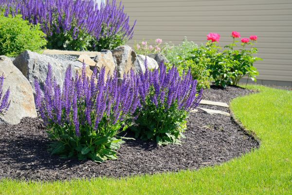 Landscape Planting Service in Lake Placid