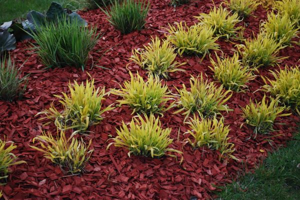 Red Mulch Installation in Lake Placid