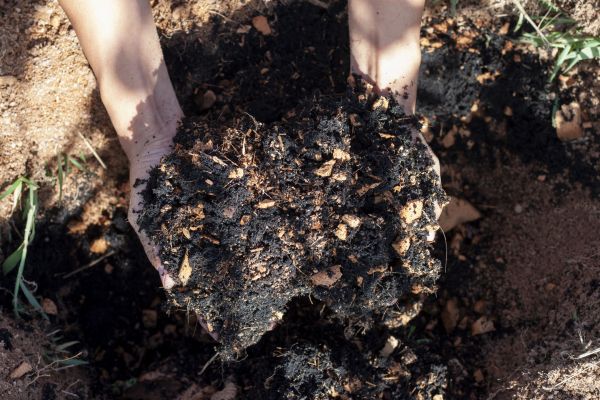 Organic Mulch Installation in Lake Placid