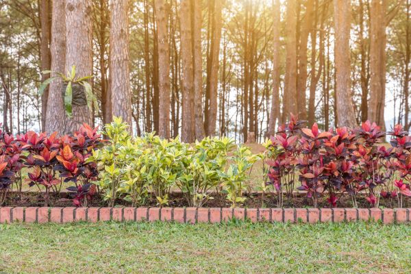 Small Garden Landscaping in Lake Placid