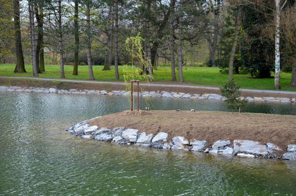 Pond Landscaping Service in Lake Placid