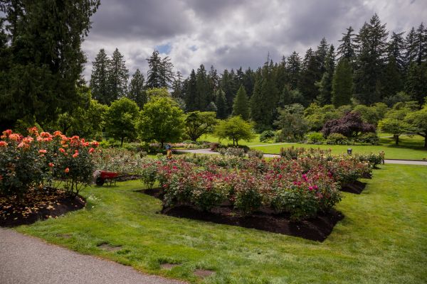 Flower Garden Landscaping in Lake Placid