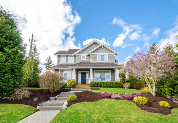 Landscaping Replacement in Lake Placid