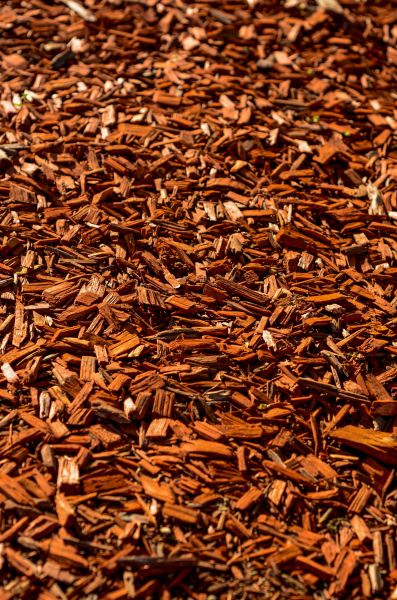 Cedar Mulch Spreading in Lake Placid