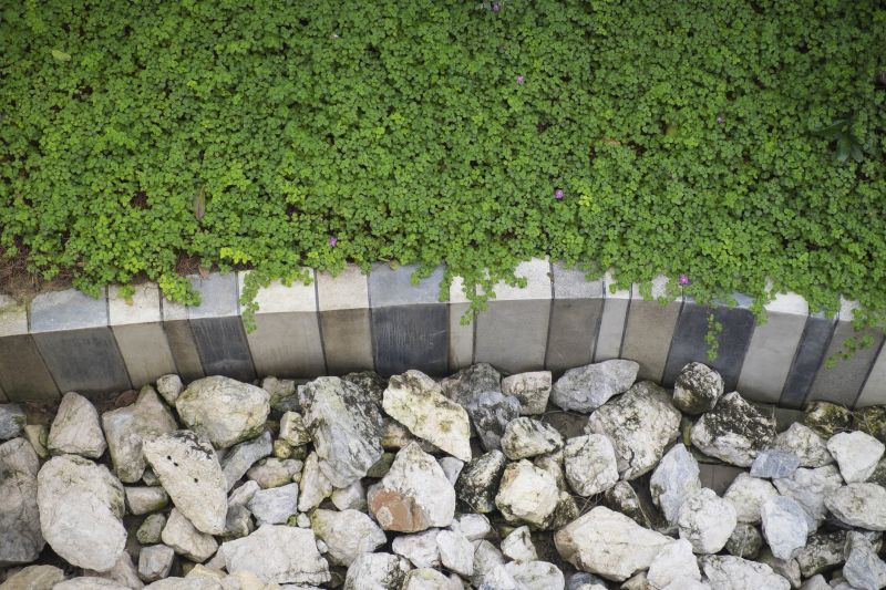 Landscape Curbing Service